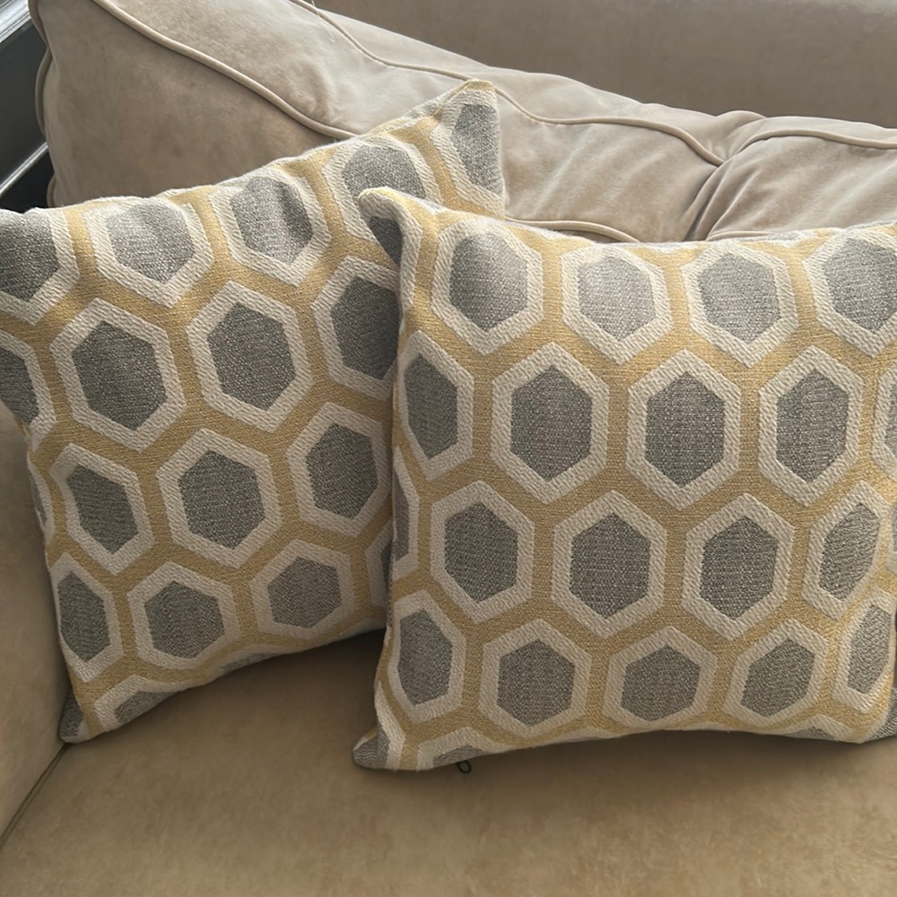 Two Throw Pillows